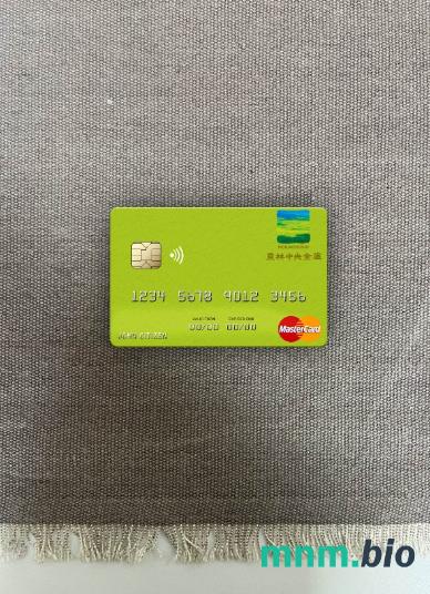 Japan Norinchukin bank wygląd zdjęcia mastercard skan PSD + zdjęcie